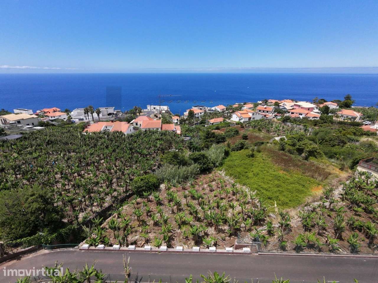 Terreno Rústico Exclusivo no Arco da Calheta – Vista Mar e Localizaçã - Grande imagem: 4/17