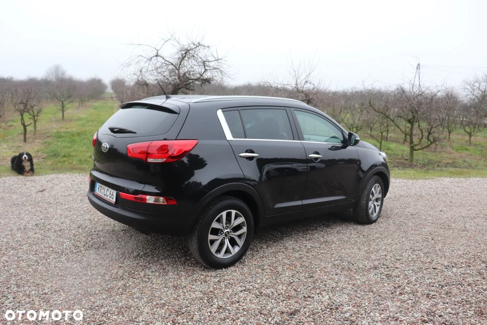 Kia Sportage 1.6 GDI Business Line L 2WD - 13