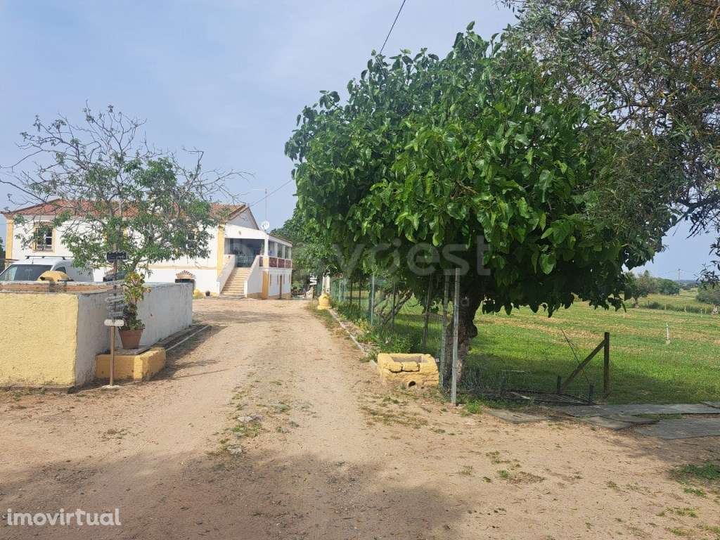 Fabulosa Quinta a 3 minutos da Cidade de Beja com área Privativa de... - Grande imagem: 2/52