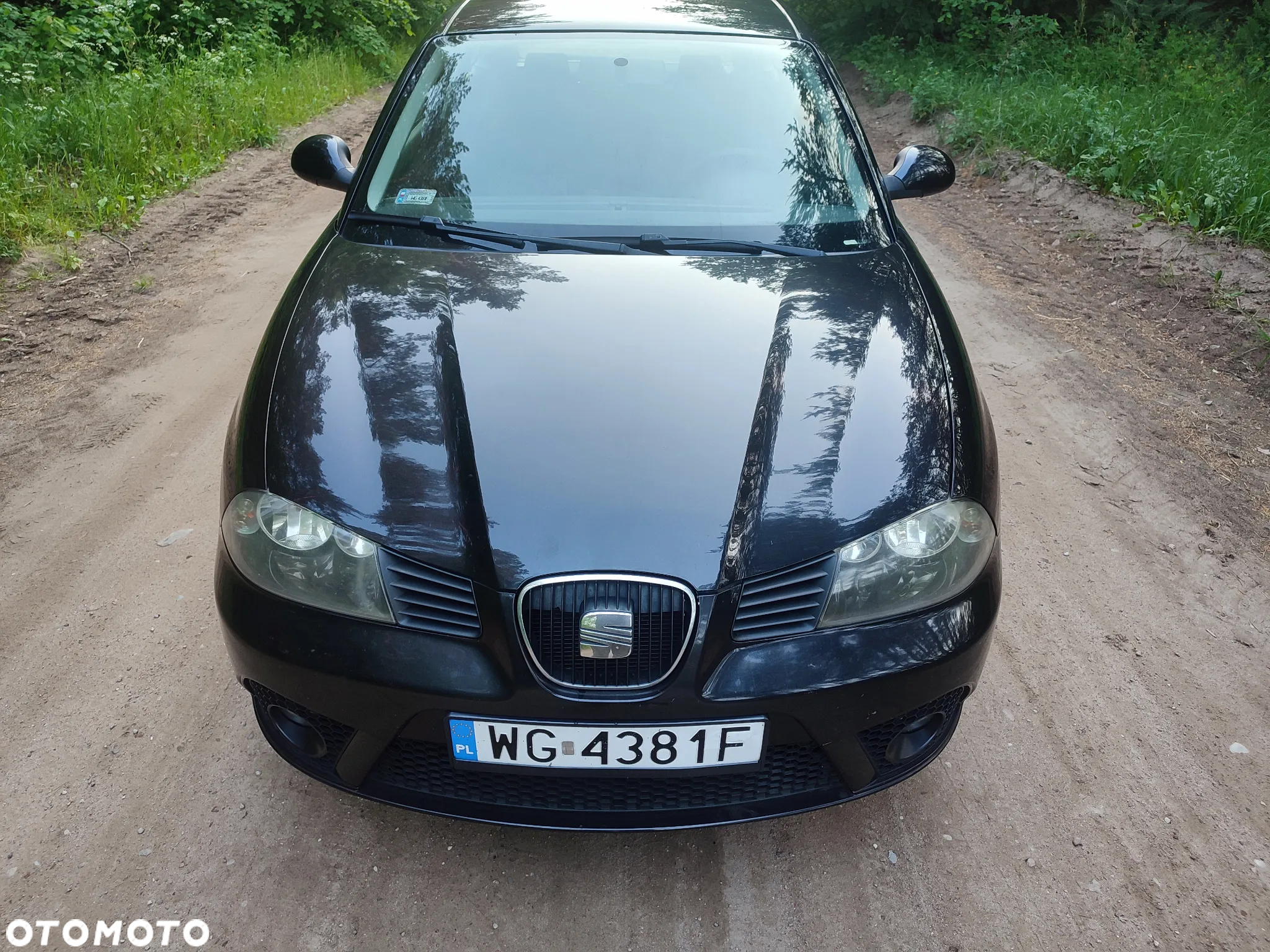Seat Ibiza - 9