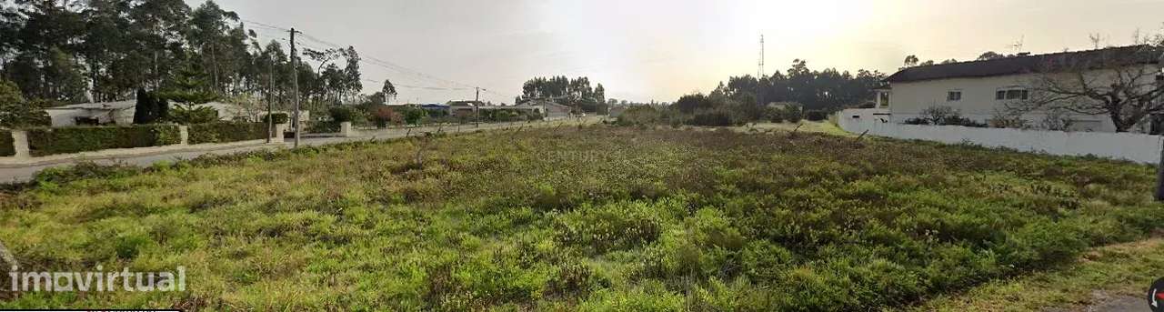 Terreno à Venda em Vagos, Aveiro - Oportunidade Única! - Grande imagem: 2/4