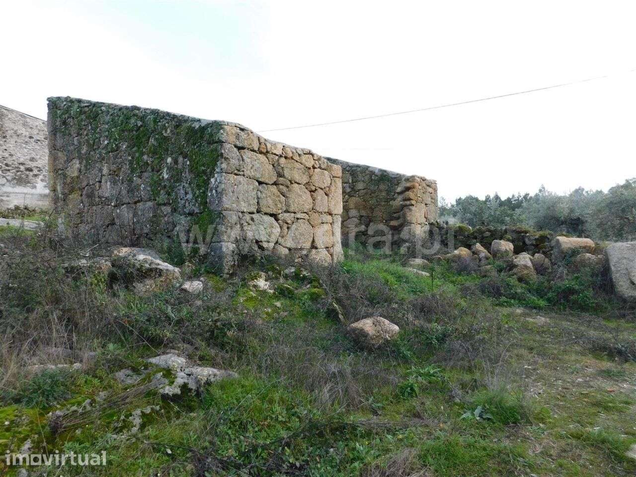 Moradia / Fundão, Alpedrinha - Grande imagem: 5/6