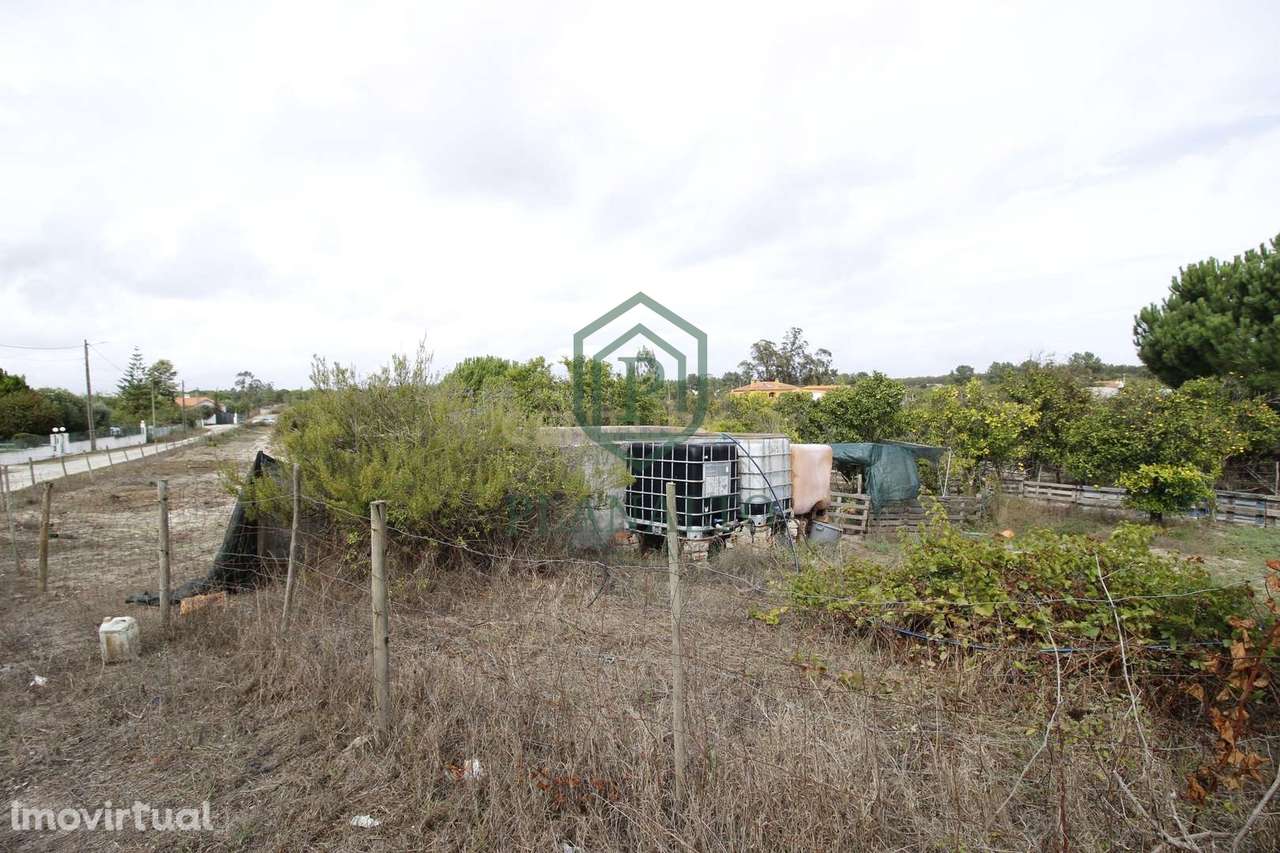 Quinta  Venda em Vendas Novas,Vendas Novas - Grande imagem: 2/17
