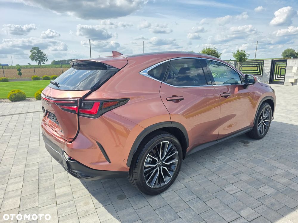 Lexus NX 350h Omotenashi AWD - 11