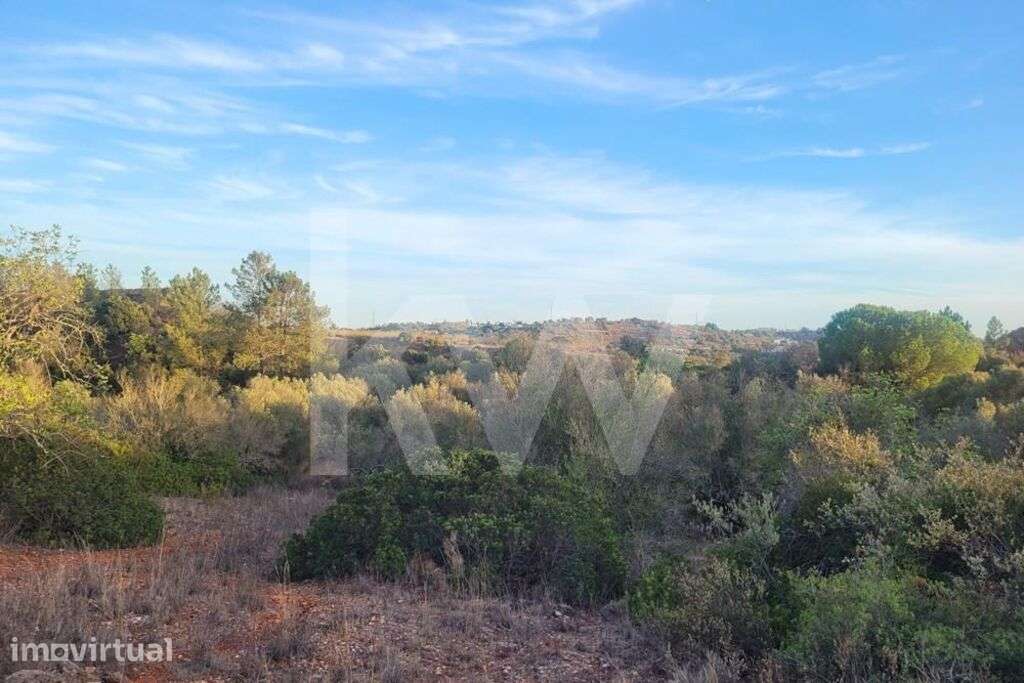TERRENO RÚSTICO NO CERRO DE SÃO VICENTE EM PADERNE-ALBUFEIRA - Grande imagem: 3/8