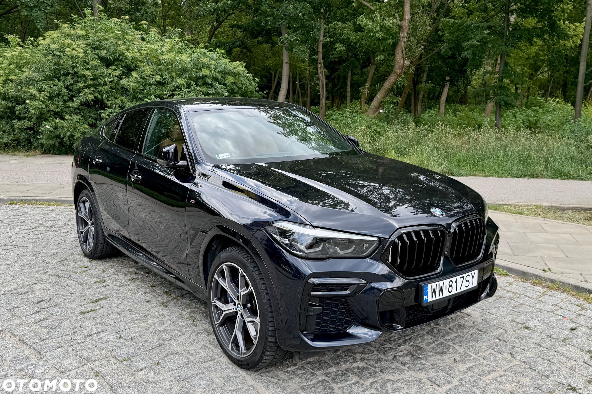 BMW X6 xDrive30d - 1
