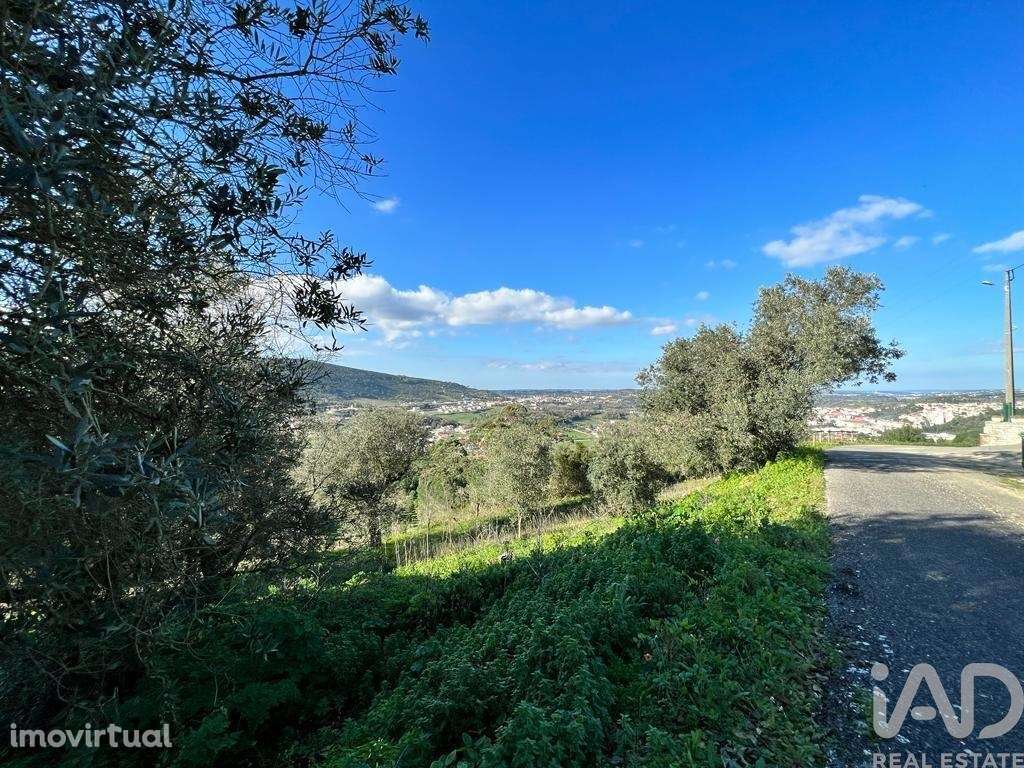 Terreno para construção em Porto de Mós - São João Baptista e São Pedr - Grande imagem: 3/8