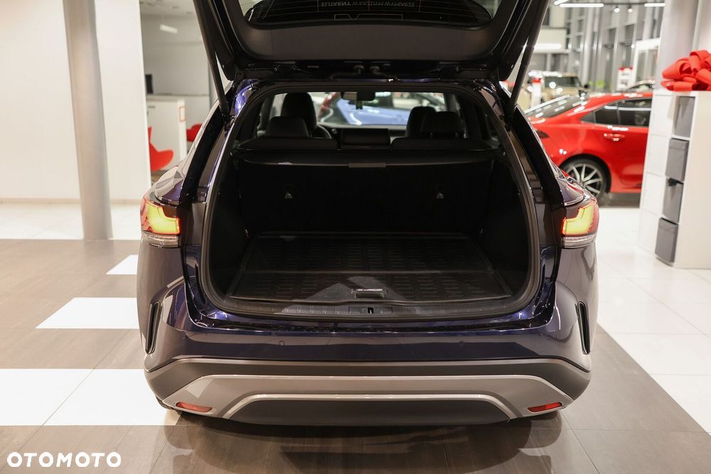 Lexus RX - 13