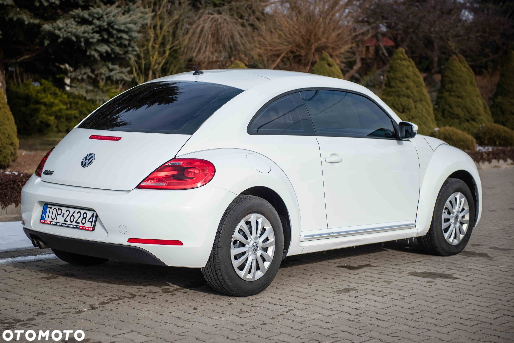 Volkswagen Beetle - 8