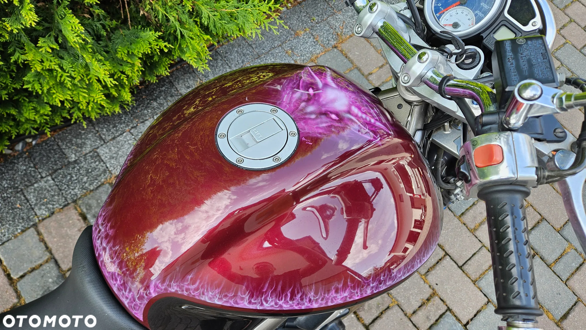 Yamaha Bulldog - 12