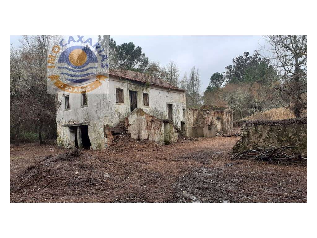 Quintinha para reabilitar T4, com 16 000m2 de Terreno. água em abun... - Grande imagem: 3/9