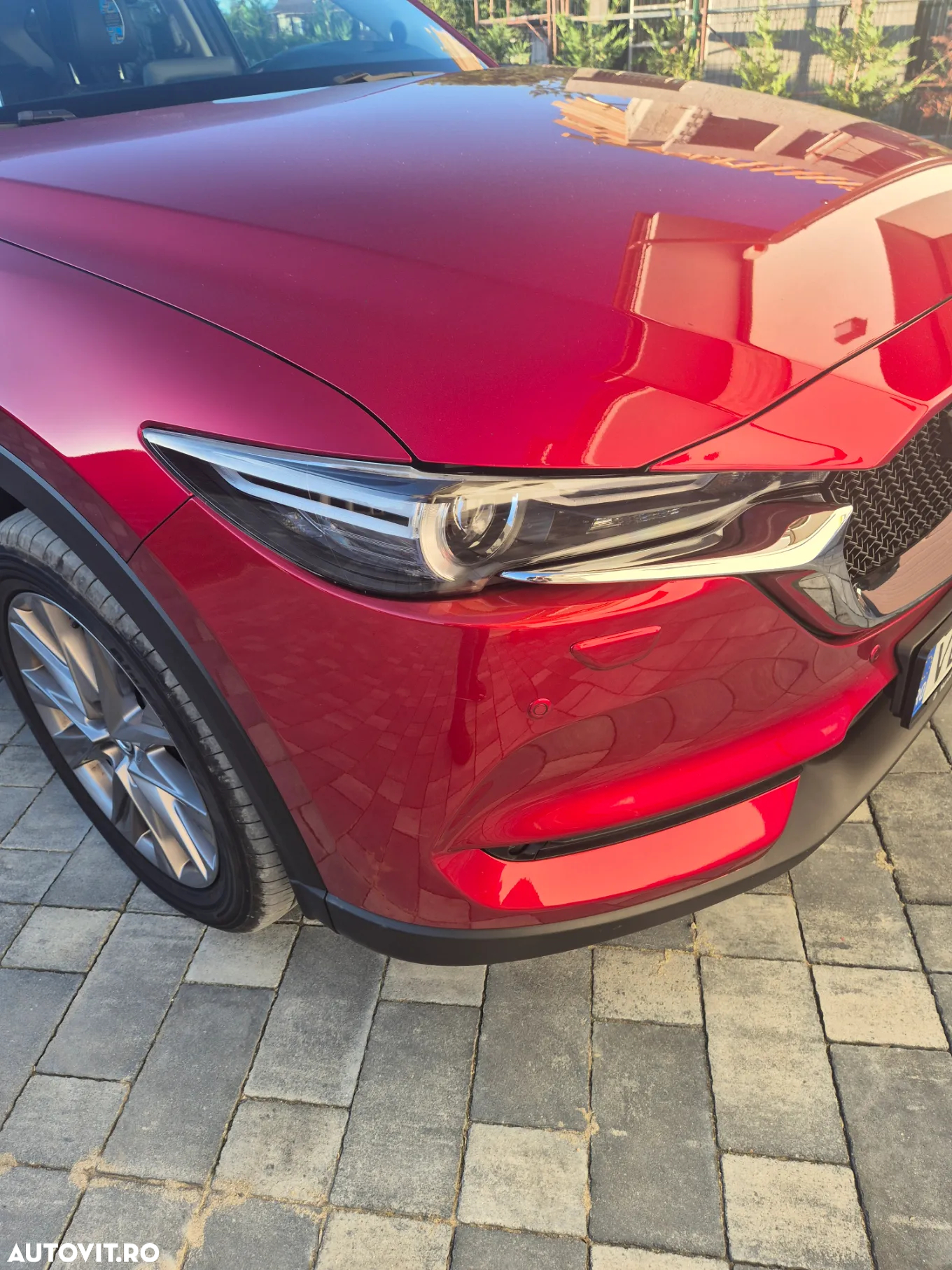 Mazda CX-5 G194 4x4 AT Revolution Top - 7