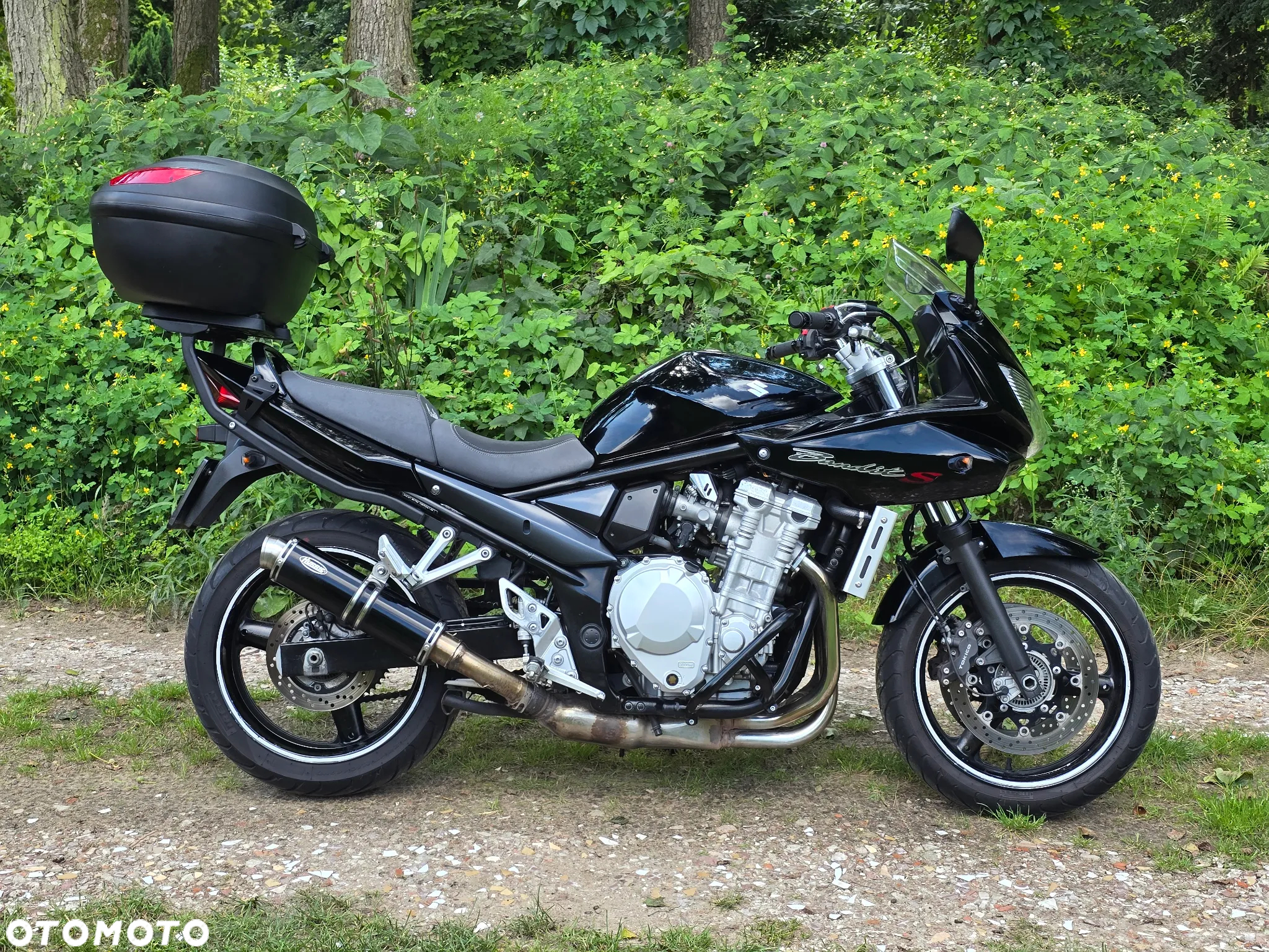 Suzuki Bandit - 4