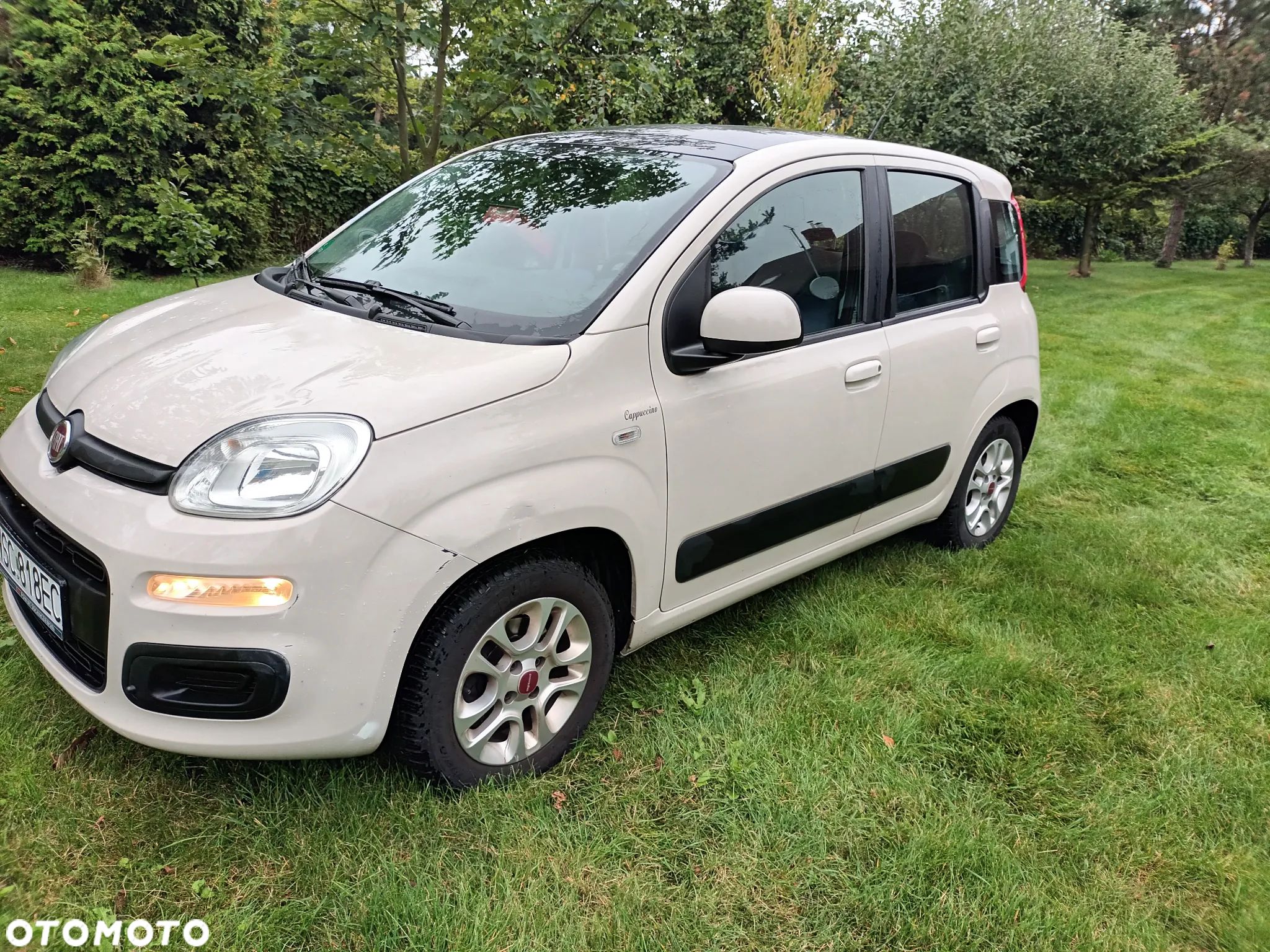 Fiat Panda - 1
