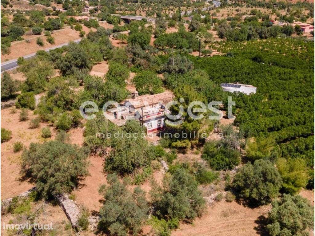 Terreno com 1 Ha e casa para recuperar a 5 minutos de Moncarapacho - Grande imagem: 2/32