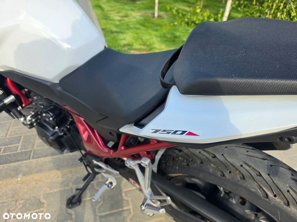 Honda Hornet - 8