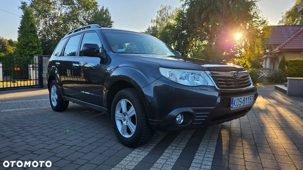 Subaru Forester - 7