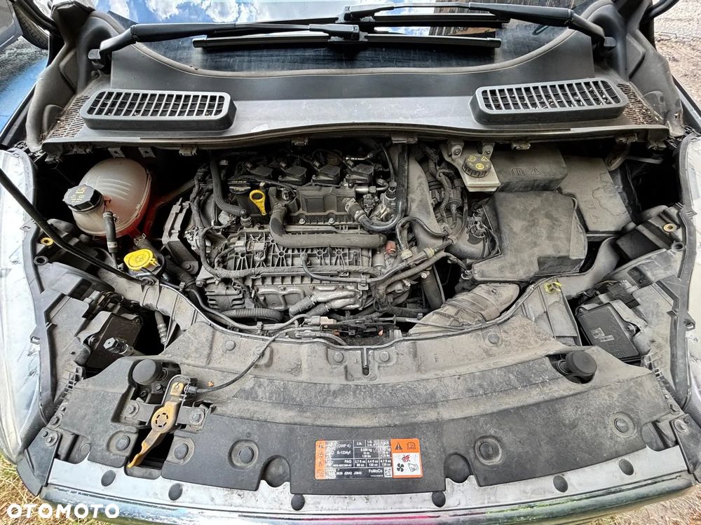 Ford Kuga 1.5 EcoBoost FWD Trend ASS MMT6 - 24