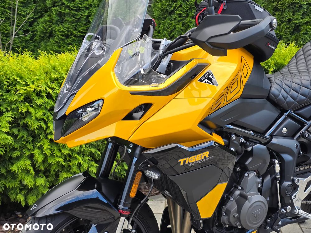 Triumph Tiger - 30