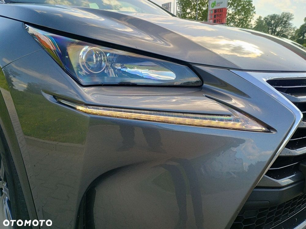 Lexus NX 300h Business Edition AWD - 9