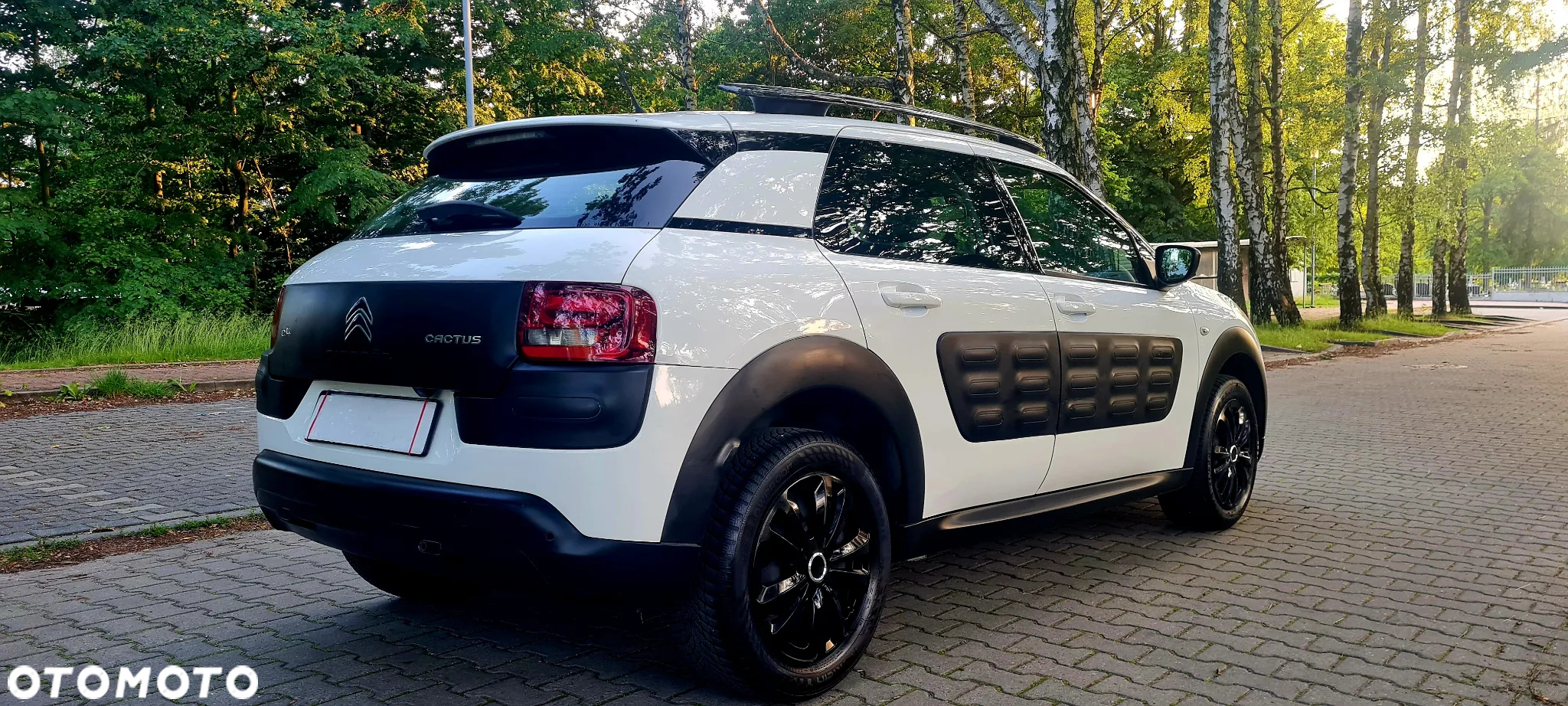Citroën C4 Cactus 1.2 PureTech GPF Shine Pack S&S - 3