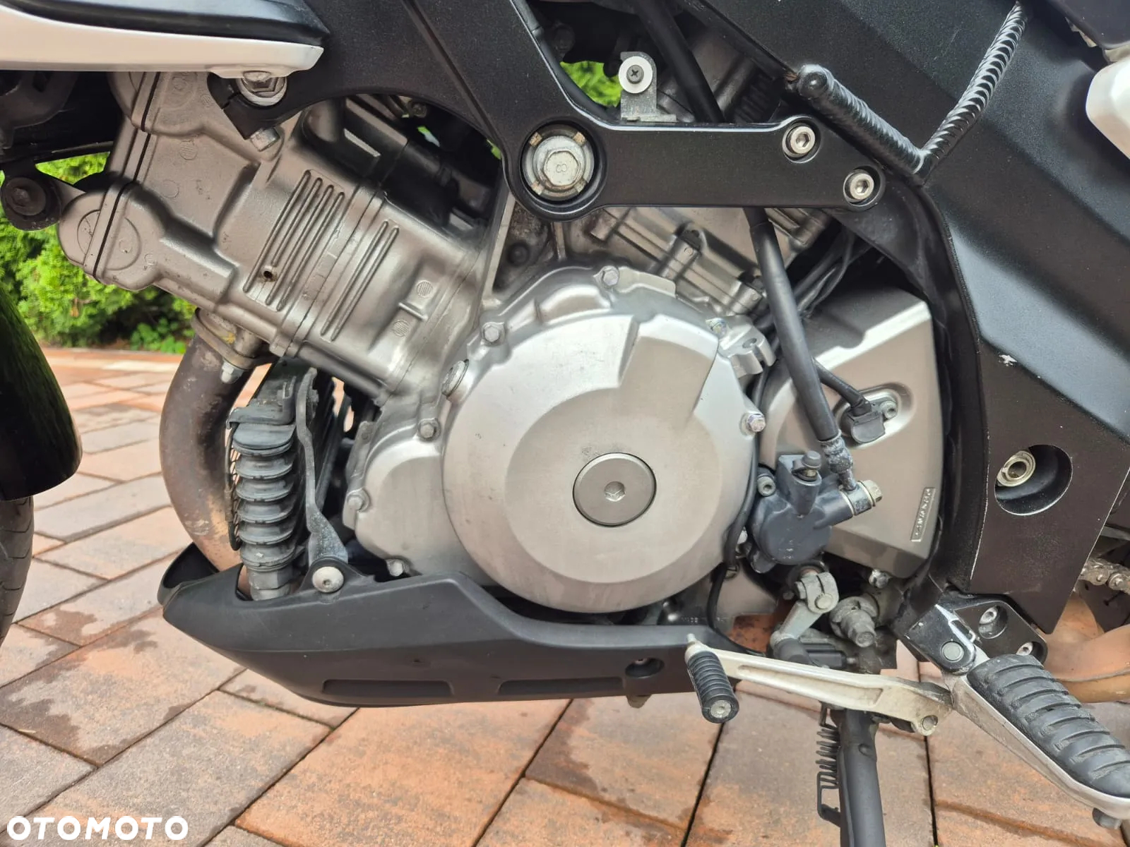 Suzuki V-STROM - 12