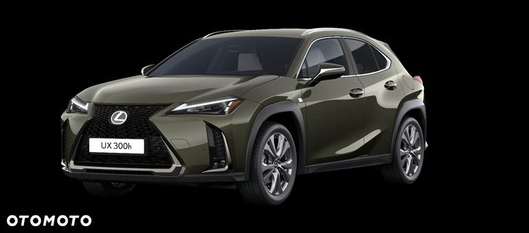 Lexus UX 300h F Sport Design - 1
