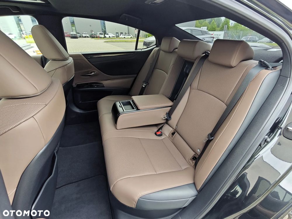 Lexus ES 300h F Sport Design - 12