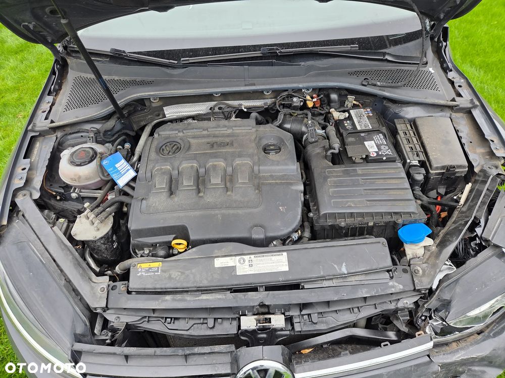 Volkswagen Golf - 16