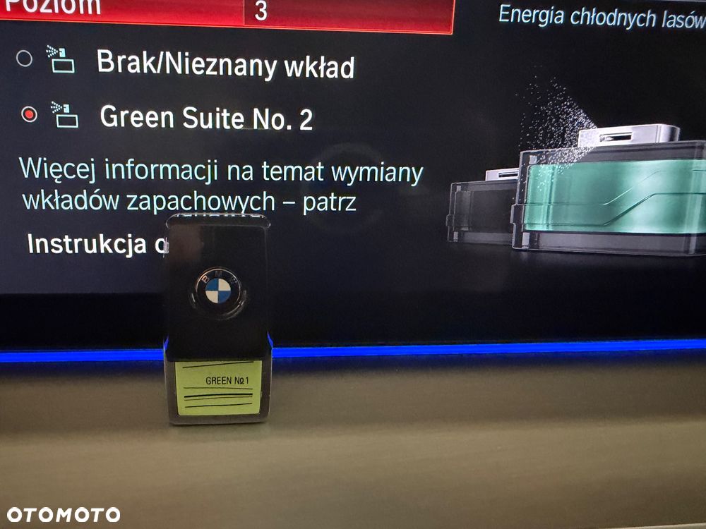 BMW Seria 5 530d xDrive Sport Line sport - 32