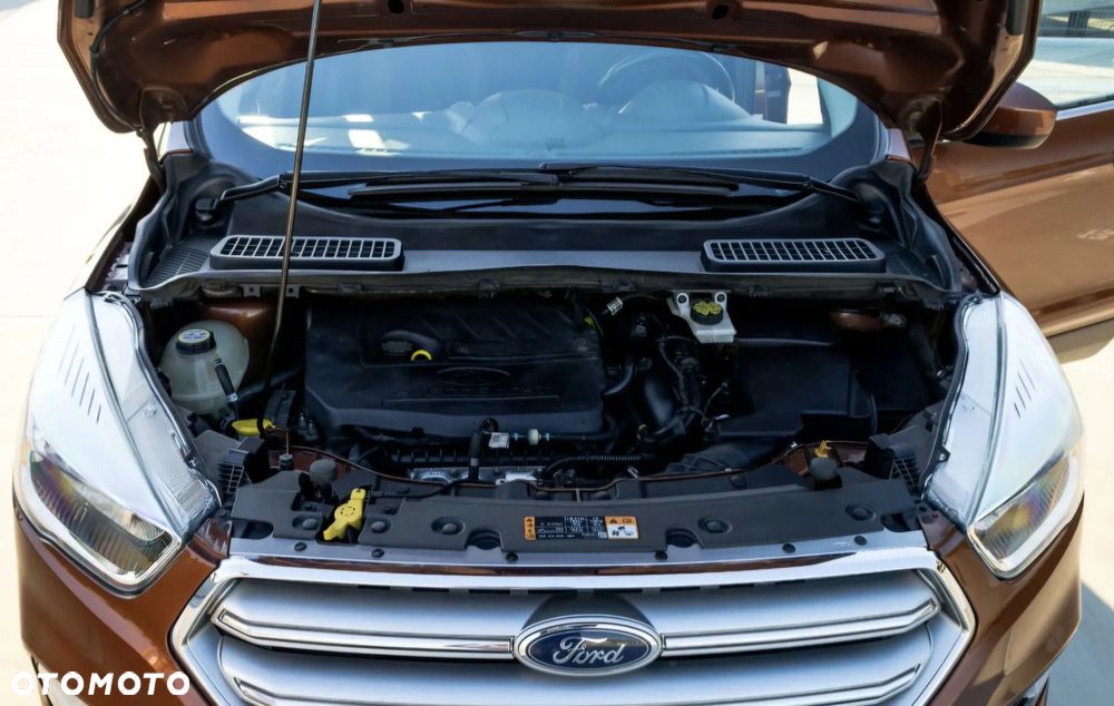 Ford Escape - 4