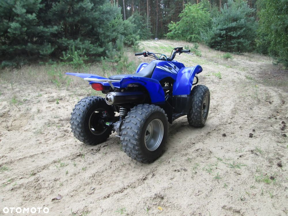 Yamaha Wolverine - 7