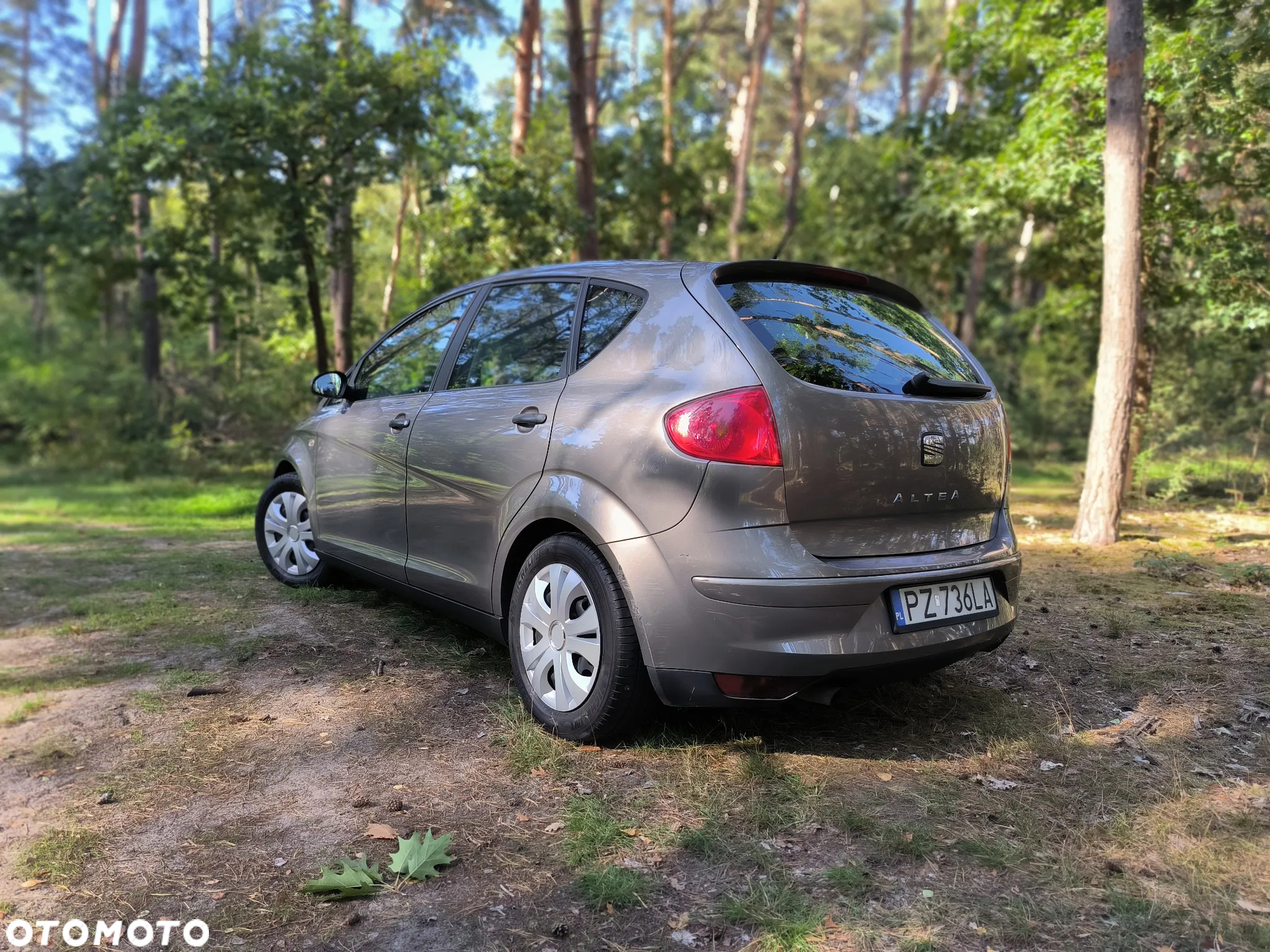 Seat Altea - 7