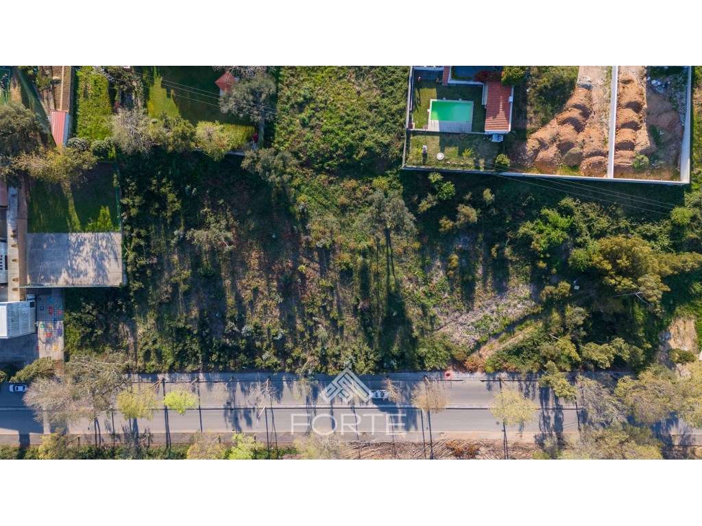 Terreno Casaldelo 5000m2 - Grande imagem: 4/22