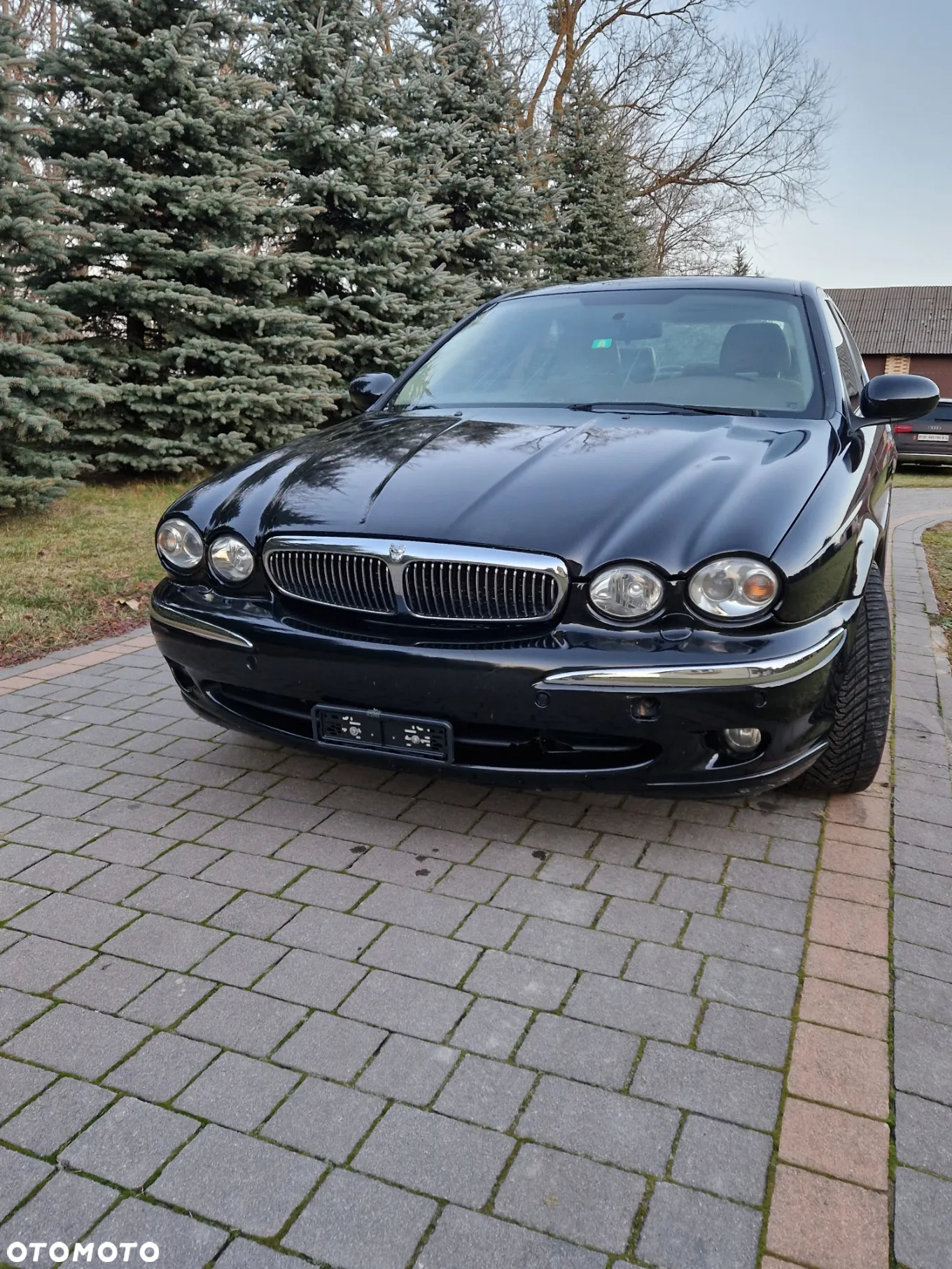 Jaguar X-Type 3.0 Executive - 3