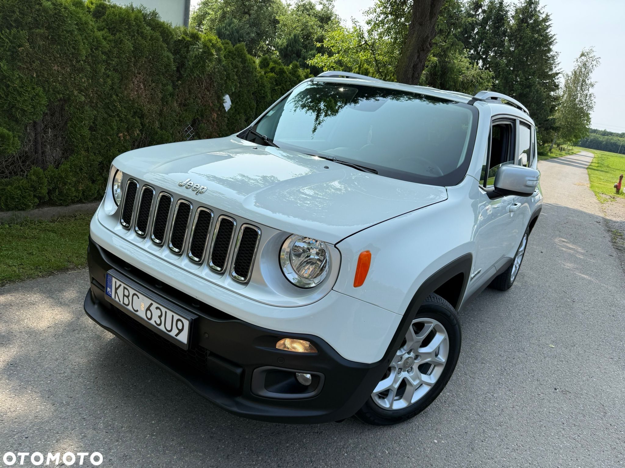Jeep Renegade 1.6 MultiJet Limited FWD S&S EU6 - 1