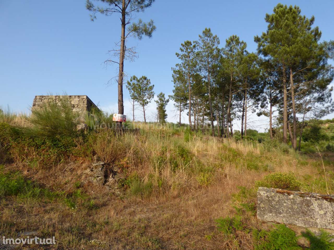 Quintinha  Venda em Ribamondego,Gouveia - Grande imagem: 4/6