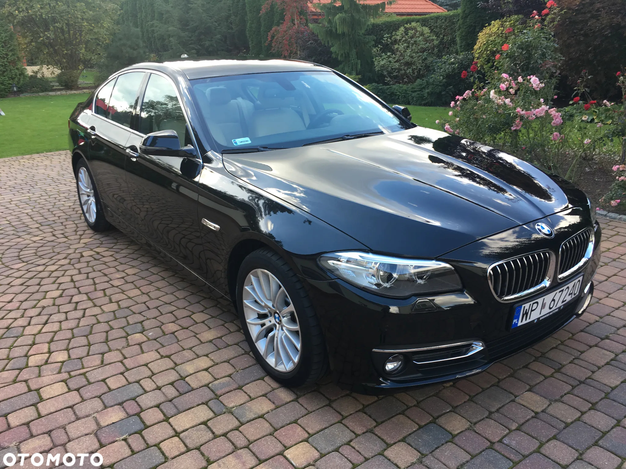 BMW Seria 5 520d xDrive Luxury Line - 10