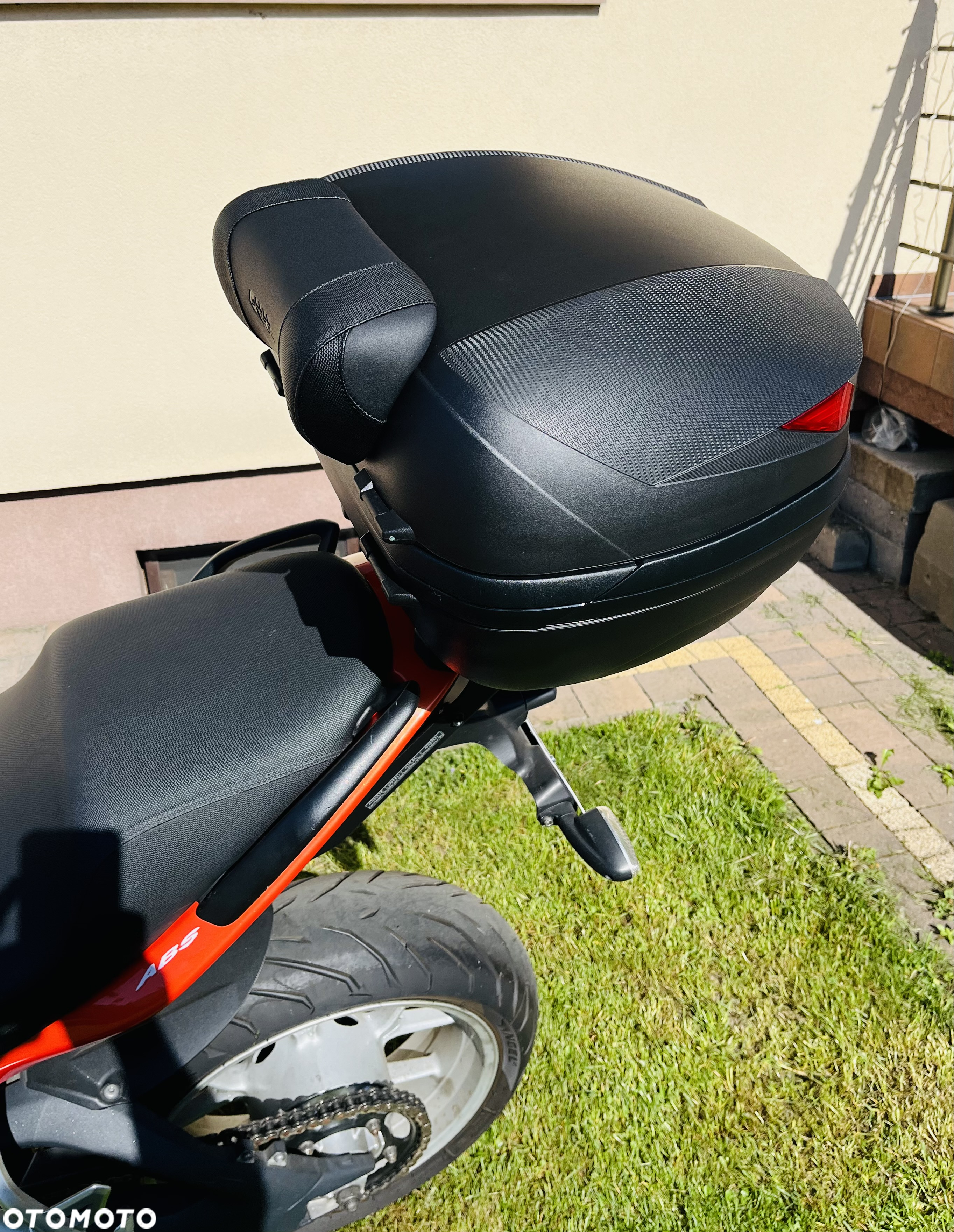 Triumph Tiger - 10