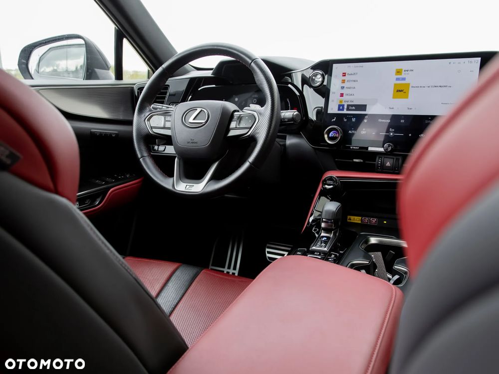 Lexus NX - 10