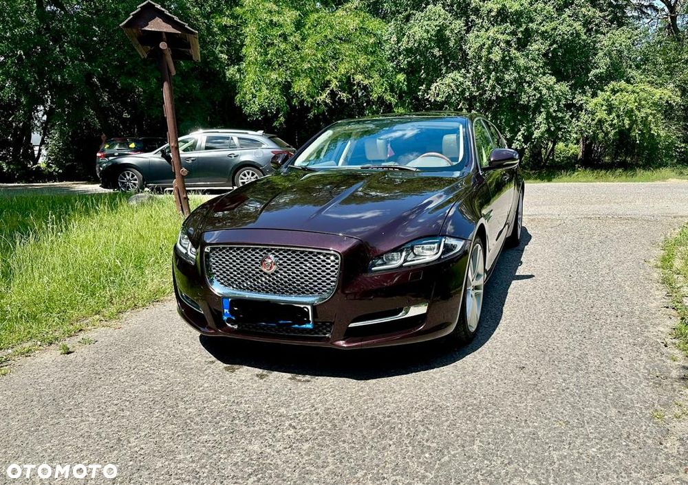 Jaguar XJ 3.0 V6 Kompressor AWD Portfolio - 19