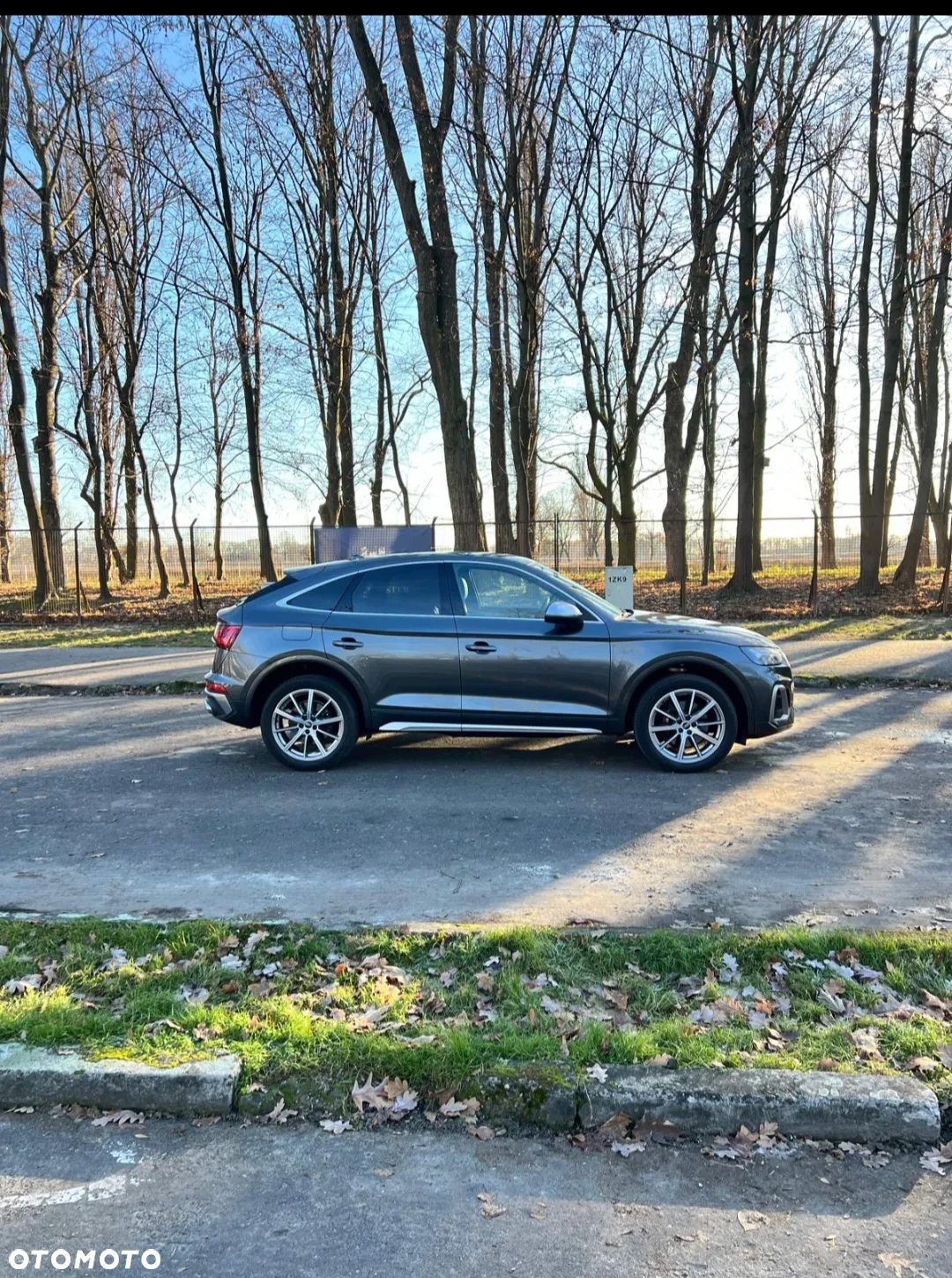 Audi SQ5 3.0 TFSI quattro tiptronic - 3