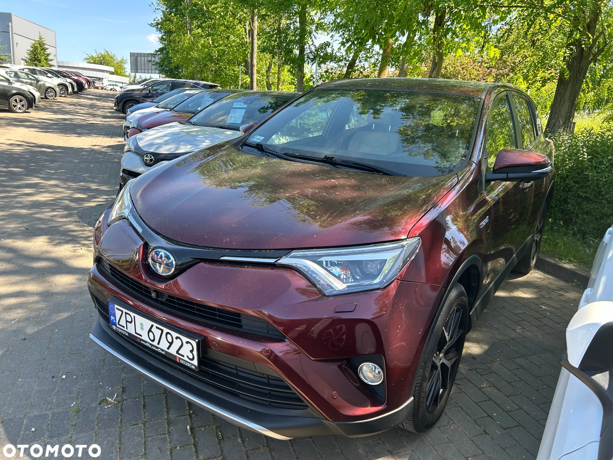 Toyota RAV4 Hybrid Prestige 4x4 - 2