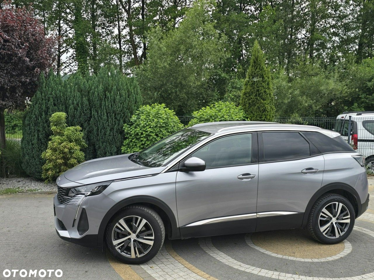 Peugeot 3008 - 17