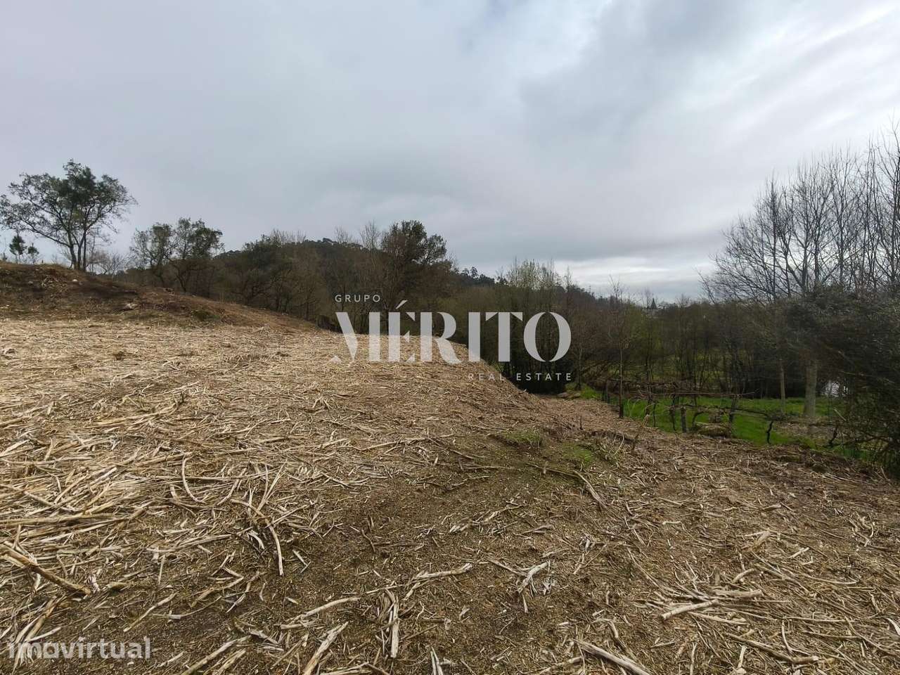 Terreno Agrícola com 10.760m2 em Cossourado frente ao Rio Neiva - Grande imagem: 4/17