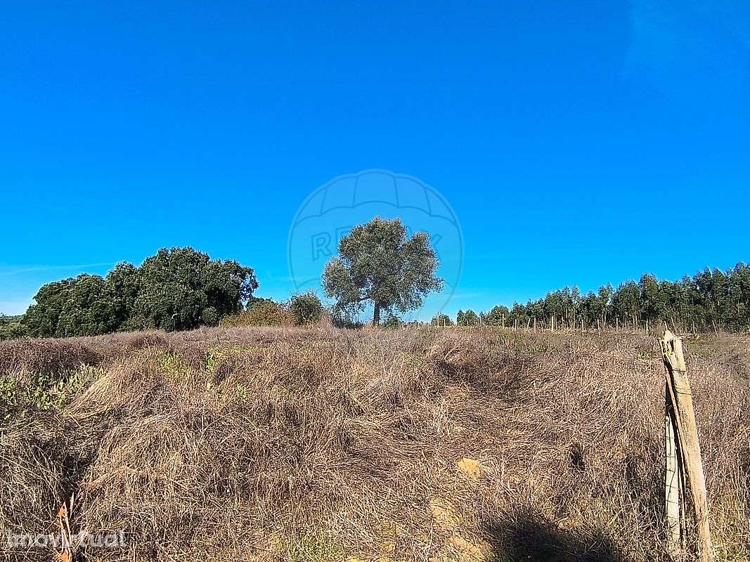 Terreno  para venda - Grande imagem: 3/28