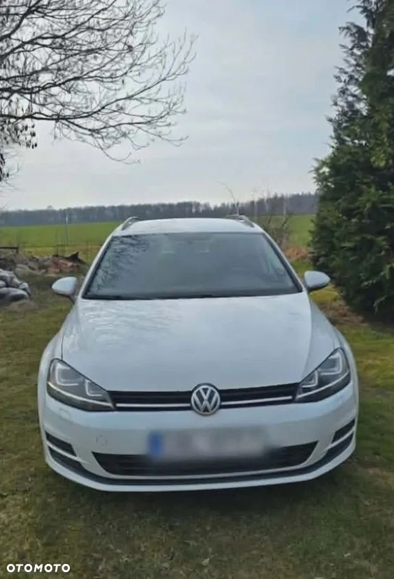 Volkswagen Golf 1.6 TDI 4Motion BlueMotion Technology Allstar - 2