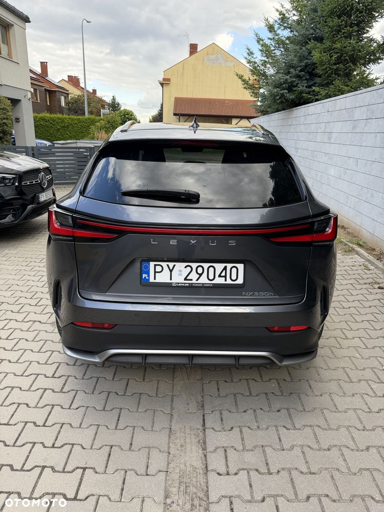 Lexus NX - 9