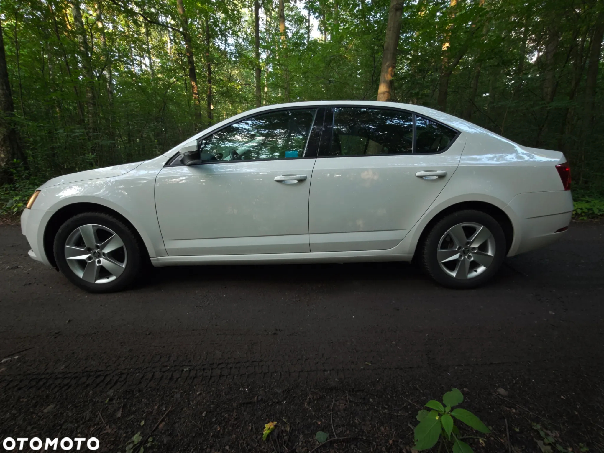 Skoda Octavia 1.6 TDI Ambition - 2