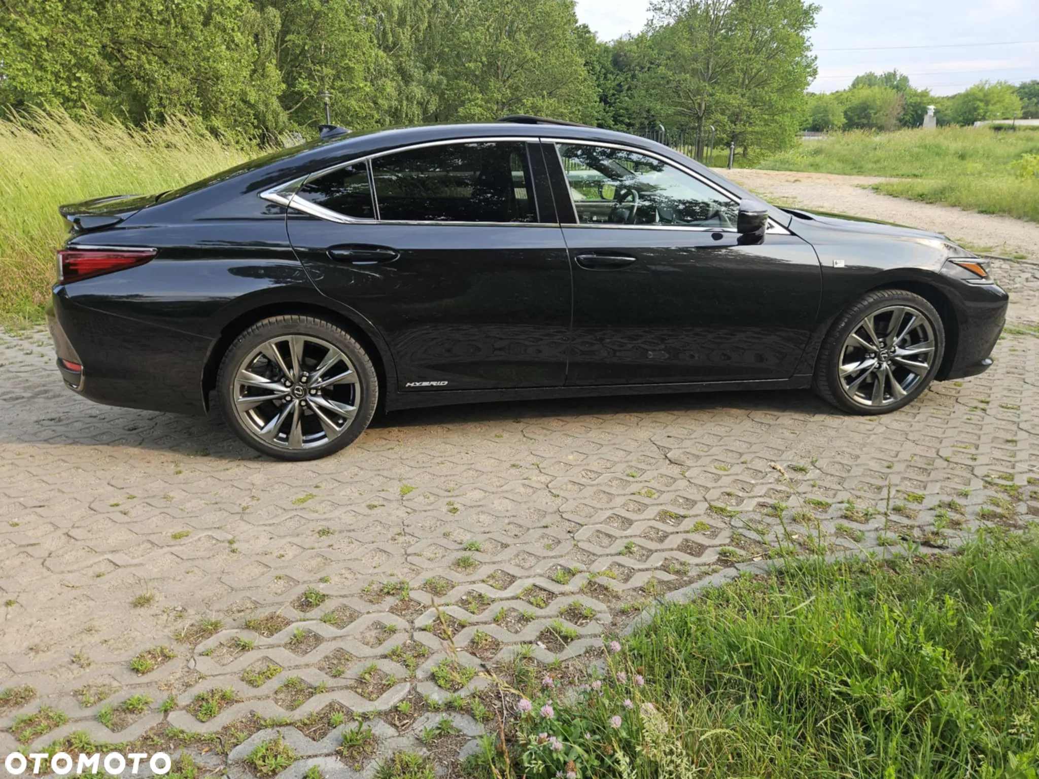Lexus ES 300h F Sport Edition - 7